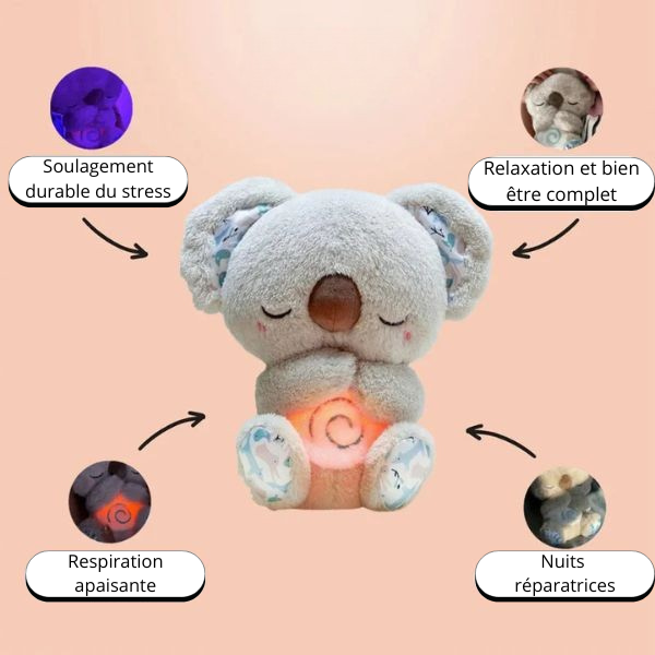 Koala Apaisant – Le compagnon du calme intérieur